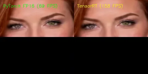 TensorRT vs PyTorch Visual Verification