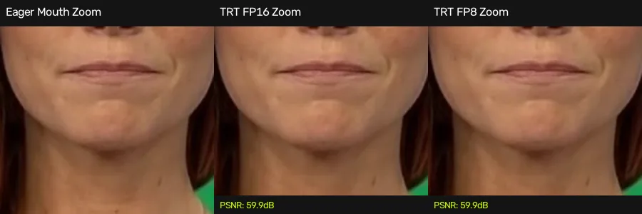 Frame 17 Mouth Zoom