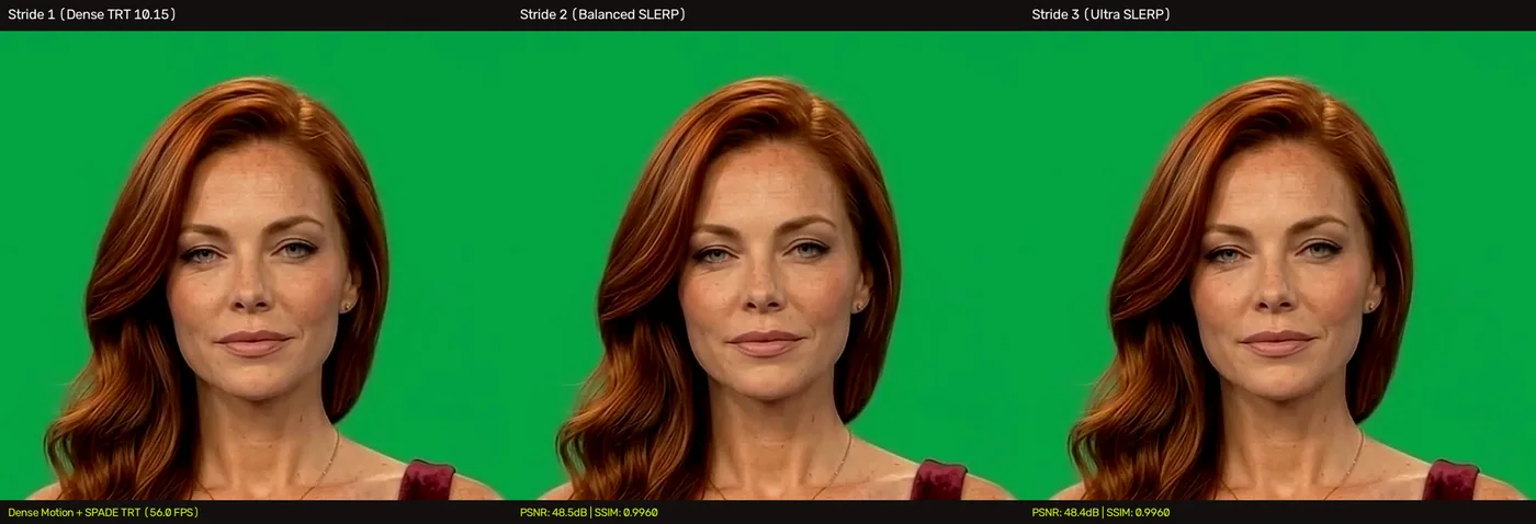 Full Face Montage Frame 22